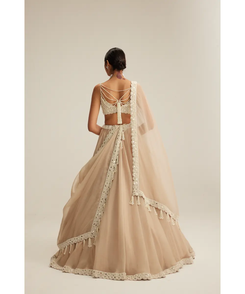 VVANI VATS- Light Beige Organza mirror and pearl lehenga set